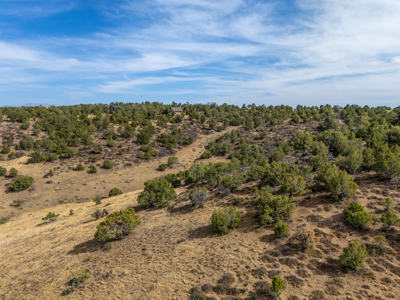 Plenty of privacy with this end of the road 5+ acre parcel - image 8