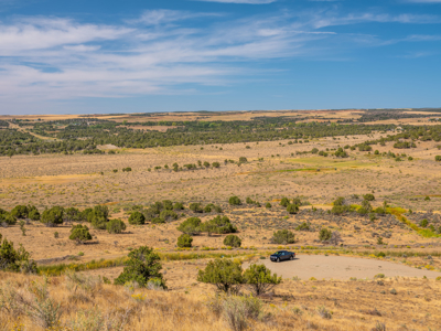 Plenty of privacy with this end of the road 5+ acre parcel - image 27