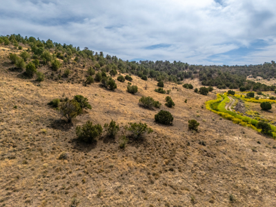 Plenty of privacy with this end of the road 5+ acre parcel - image 1