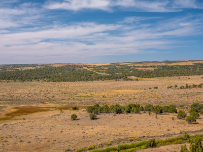 Plenty of privacy with this end of the road 5+ acre parcel - image 24