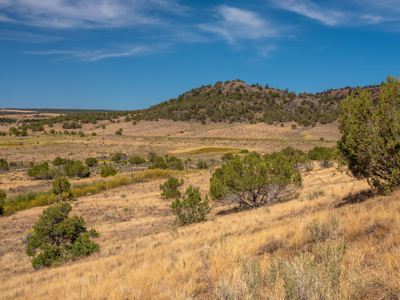 Plenty of privacy with this end of the road 5+ acre parcel - image 22