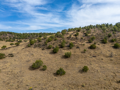 Plenty of privacy with this end of the road 5+ acre parcel - image 12