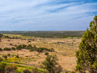 Plenty of privacy with this end of the road 5+ acre parcel - image 23