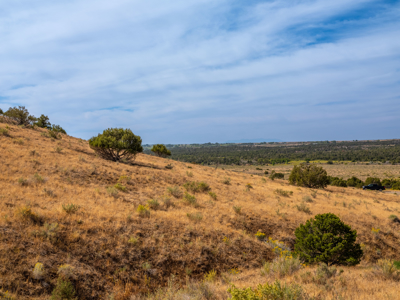 Plenty of privacy with this end of the road 5+ acre parcel - image 31