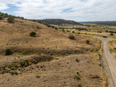 Plenty of privacy with this end of the road 5+ acre parcel - image 17