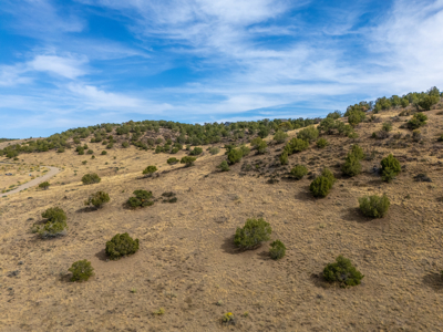 Plenty of privacy with this end of the road 5+ acre parcel - image 13