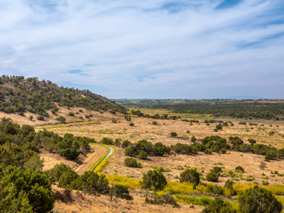 Plenty of privacy with this end of the road 5+ acre parcel - image 25