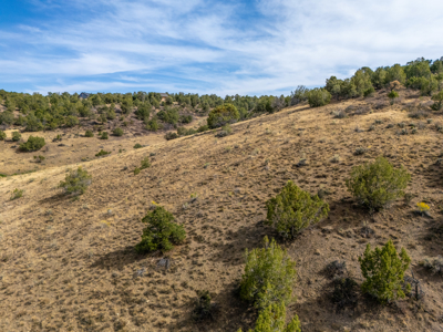 Plenty of privacy with this end of the road 5+ acre parcel - image 4