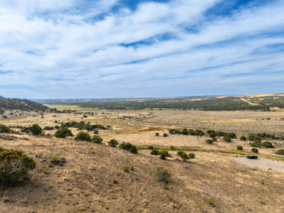 Plenty of privacy with this end of the road 5+ acre parcel - image 15