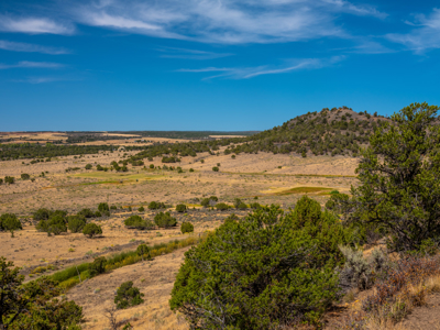 Plenty of privacy with this end of the road 5+ acre parcel - image 26