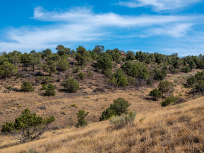 Plenty of privacy with this end of the road 5+ acre parcel - image 28