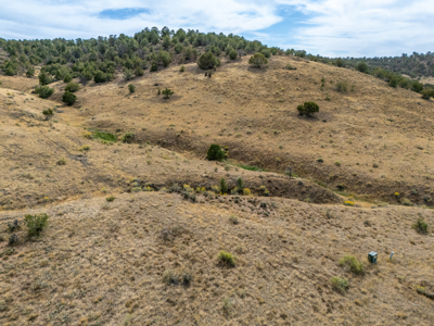 Plenty of privacy with this end of the road 5+ acre parcel - image 19