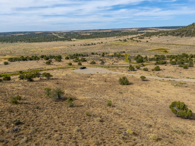 Plenty of privacy with this end of the road 5+ acre parcel - image 18