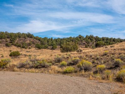 Plenty of privacy with this end of the road 5+ acre parcel - image 33