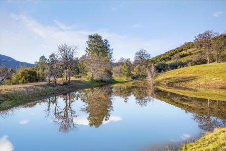 Rumsey Property with Multiple Homes | Yolo County - image 11