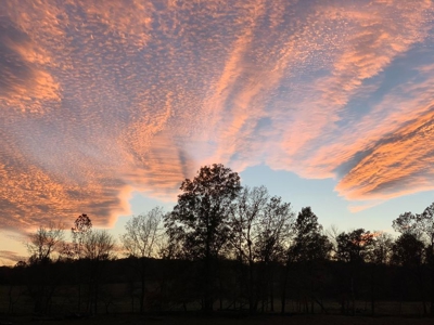 Private Retreat Borders Nat'l Forest on 3 Sides for Sale, 135 Ac. - image 6