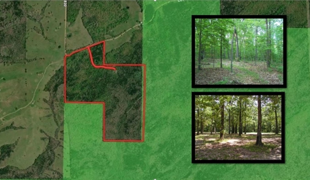 Private Retreat Borders Nat'l Forest on 3 Sides for Sale, 135 Ac. - image 1