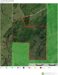 Private Retreat Borders Nat'l Forest on 3 Sides for Sale, 135 Ac. - image 3