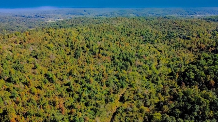 Private Retreat Borders Nat'l Forest on 3 Sides for Sale, 135 Ac. - image 10