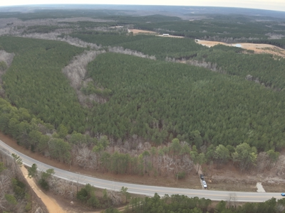 20 Wooded Acres For Sale in Lewis County, Tennessee - image 20