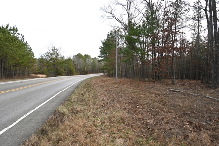 20 Wooded Acres For Sale in Lewis County, Tennessee - image 4