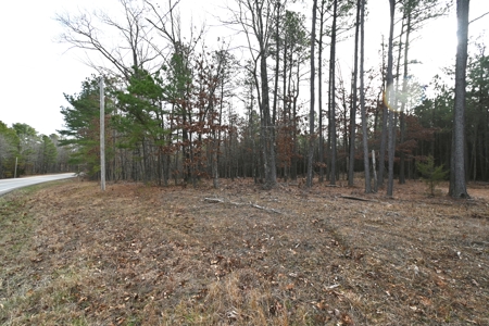 20 Wooded Acres For Sale in Lewis County, Tennessee - image 5