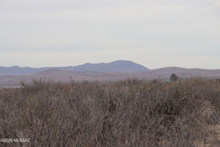 29+ Acres of Vacant Land in Willcox, AZ - image 4