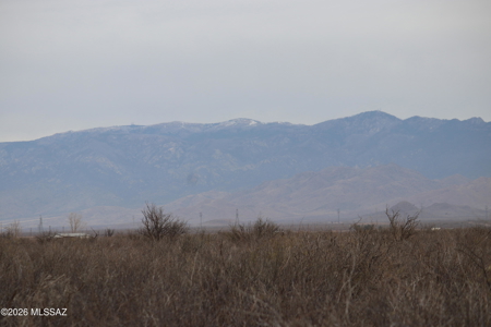 10 Acres of Vacant Land in Willcox, AZ! - image 3