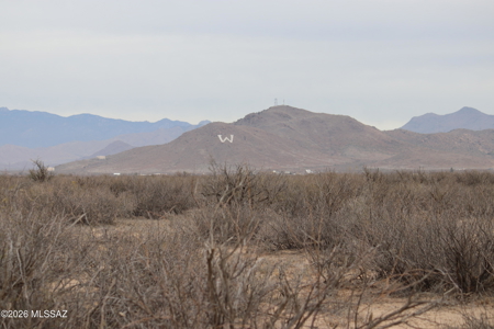 10 Acres of Vacant Land in Willcox, AZ! - image 2