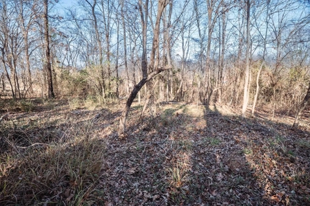 Potential Income Producing AirBnb & Camping Lakefront - image 23