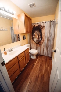 Potential Income Producing AirBnb & Camping Lakefront - image 6