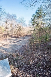 Potential Income Producing AirBnb & Camping Lakefront - image 24