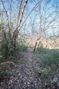 Potential Income Producing AirBnb & Camping Lakefront - image 22