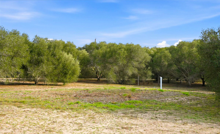 5-Acre Country Property, Custom Home & Two Large Metal Shops - image 41