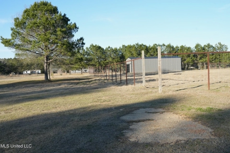 40 Acres Pike County MS Near I-55 Summit MS - image 43