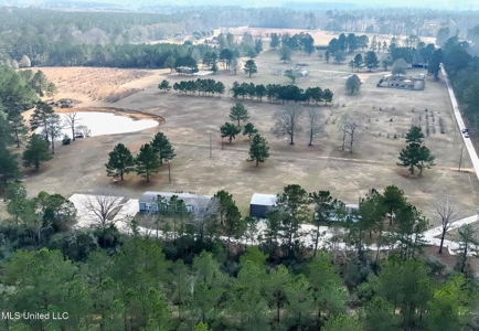 40 Acres Pike County MS Near I-55 Summit MS - image 5