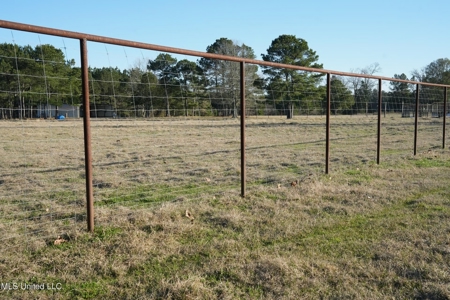 40 Acres Pike County MS Near I-55 Summit MS - image 39