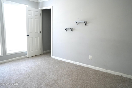 40 Acres Pike County MS Near I-55 Summit MS - image 28