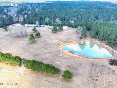 40 Acres Pike County MS Near I-55 Summit MS - image 2