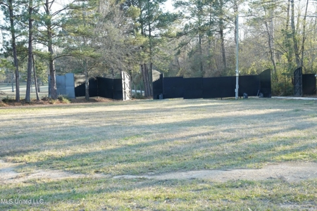 40 Acres Pike County MS Near I-55 Summit MS - image 45