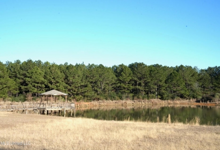 40 Acres Pike County MS Near I-55 Summit MS - image 31