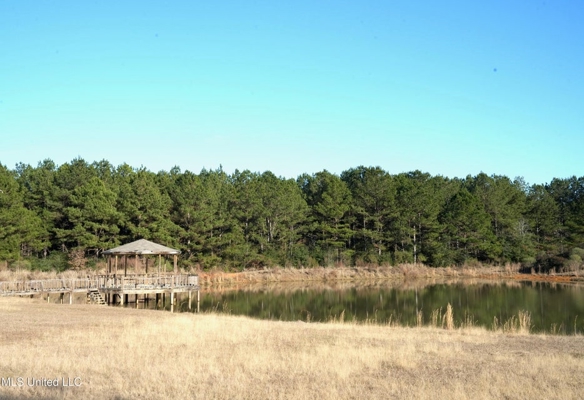 40 Acres Pike County MS Near I-55 Summit MS