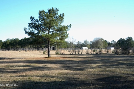40 Acres Pike County MS Near I-55 Summit MS - image 7