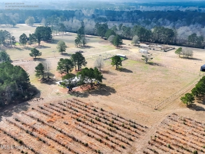 40 Acres Pike County MS Near I-55 Summit MS - image 3
