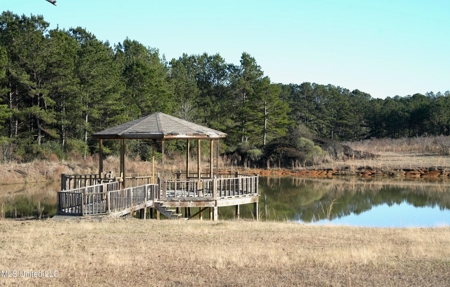 40 Acres Pike County MS Near I-55 Summit MS - image 30