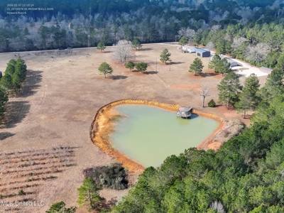 40 Acres Pike County MS Near I-55 Summit MS - image 4