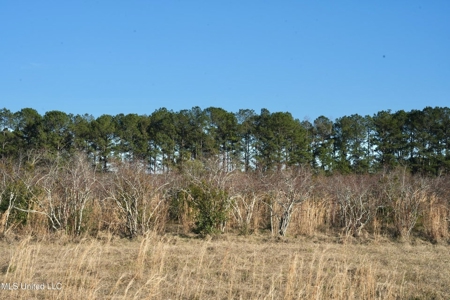 40 Acres Pike County MS Near I-55 Summit MS - image 32