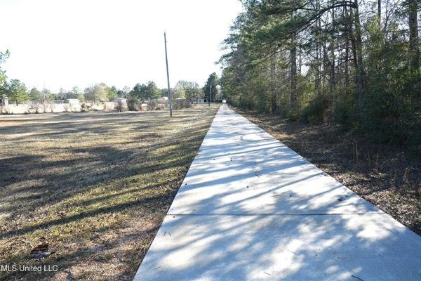 40 Acres Pike County MS Near I-55 Summit MS