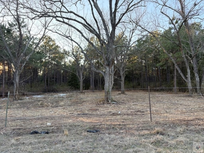 47+ Acres in Hughes Springs TX | Utilities & FM 250 Access - image 14