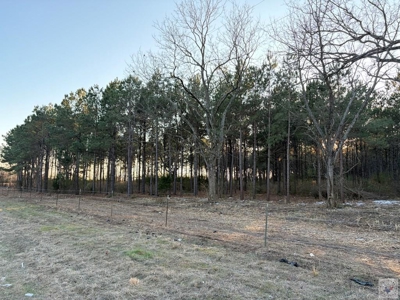 47+ Acres in Hughes Springs TX | Utilities & FM 250 Access - image 10